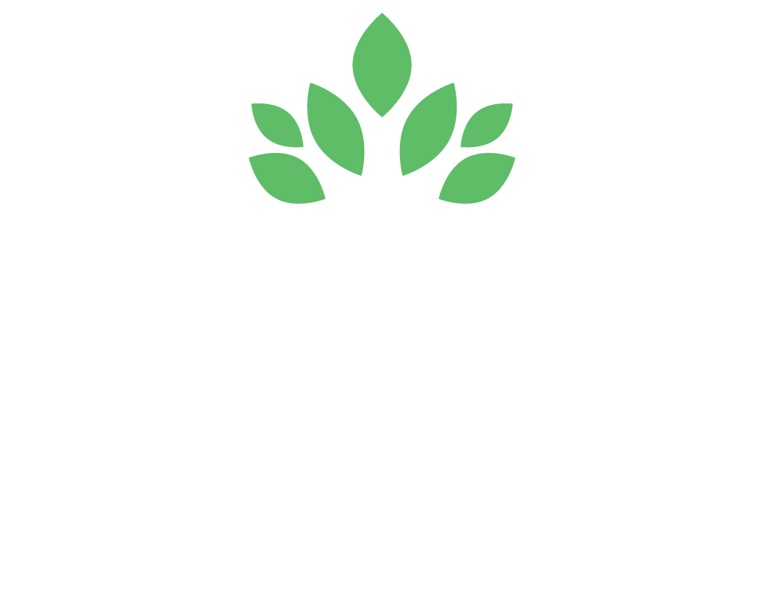 Stevens Cinema